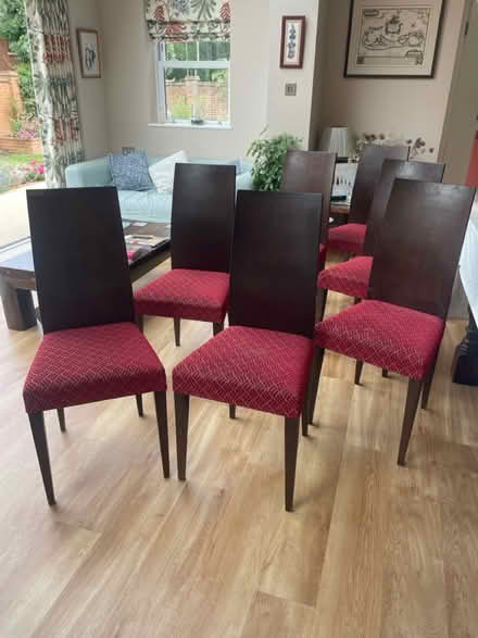 Photo of free 6 dining chairs (Much Hadham SG10) #1