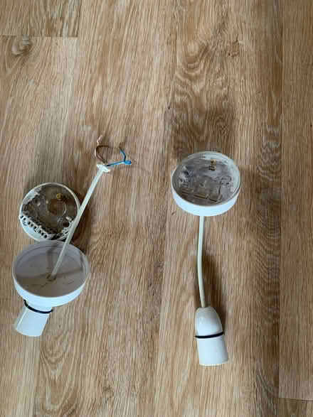 Photo of free Pair of lighting roses (highcliffe BH23) #2