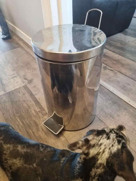 Photo of free Silver pedal bin (Coldean BN1) #1
