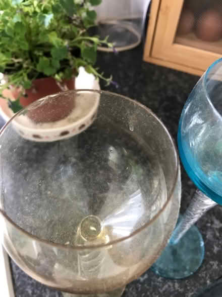 Photo of free Wine glasses (Bedford (putnoe)) #2