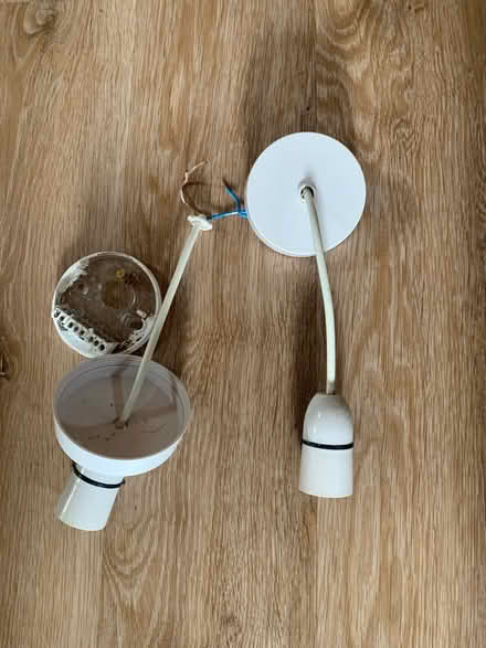 Photo of free Pair of lighting roses (highcliffe BH23) #1