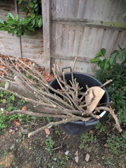 Photo of free Firewood (Stevenage SG2) #1