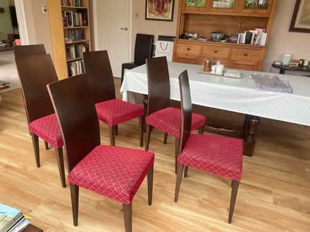 Photo of free 6 dining chairs (Much Hadham SG10) #4
