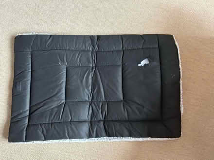 Photo of free Dog crate mat (Holbrook, Belper, DE56) #2