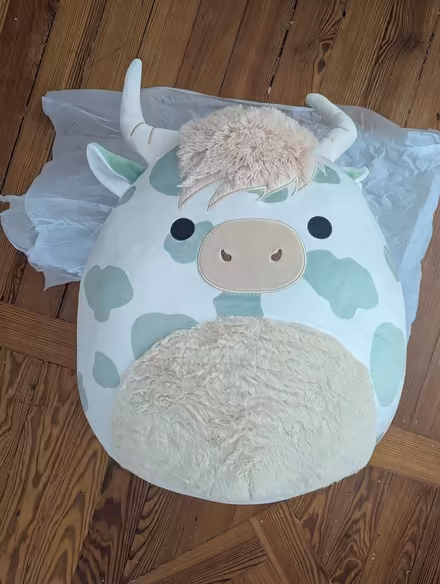 Photo of free Brand New Squishmallow (East Watertown, near Filipello) #2