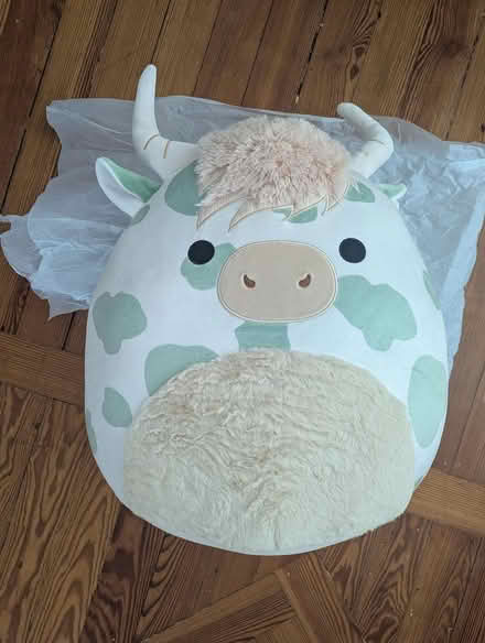 Photo of free Brand New Squishmallow (East Watertown, near Filipello) #2