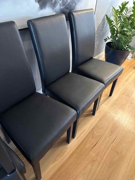 Photo of free 7 brand new dining chairs (Rozelle, Innerwest) #1