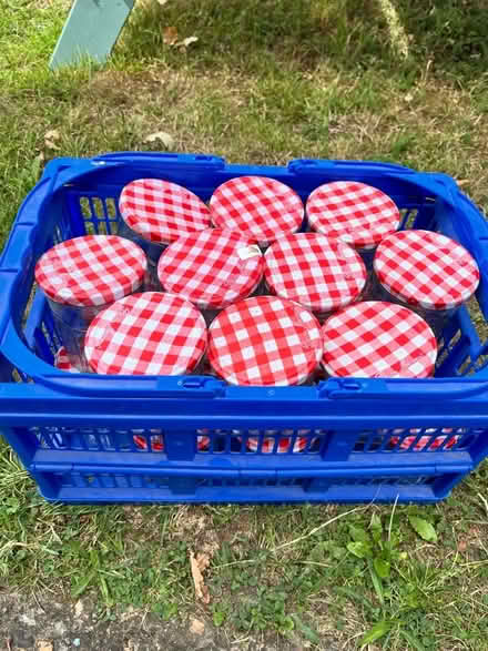 Photo of free Jam jars x 20 (Potterells Farm AL9) #2