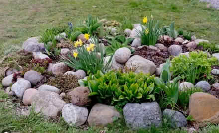 Photo of Garden rocks (Davisville) #1