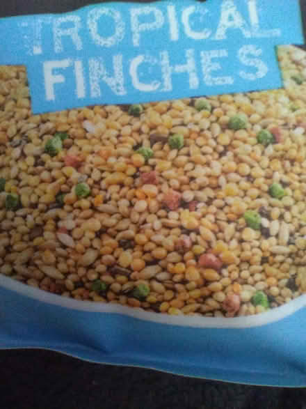Photo of free Pet bird food seed mix for Finches (Kitchener Auditorium area) #3