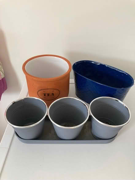 Photo of free Collection from the Potting Shed (Mile Oak BN41) #1