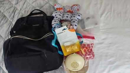 Photo of free Bag, milk breast pump and bits (Horsham RH13) #1