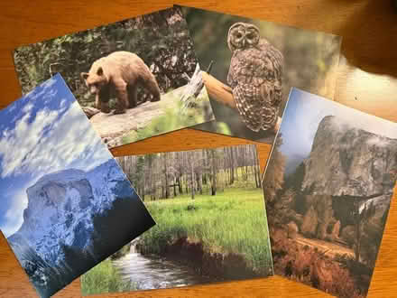 Photo of free Greeting Cards (Cupertino - DeAnza and 280) #1