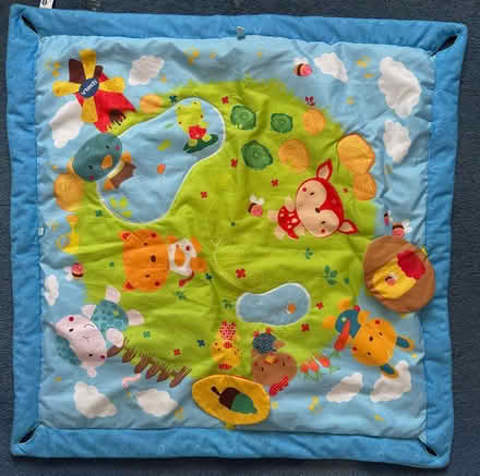 Photo of free Baby activity mat (Bracknell Forest RG12) #1