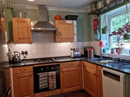 Photo of free Varnished solid wood kitchen doors (Clay Bottom, BS5) #1