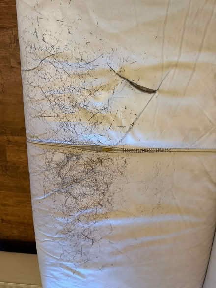Photo of free L shaped sofa (SW2) #3
