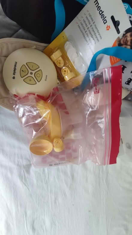 Photo of free Bag, milk breast pump and bits (Horsham RH13) #4