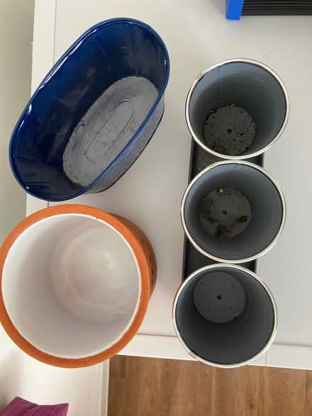 Photo of free Collection from the Potting Shed (Mile Oak BN41) #2