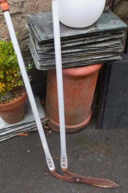 Photo of free lawn edgers (Heddon on the Wall) #1