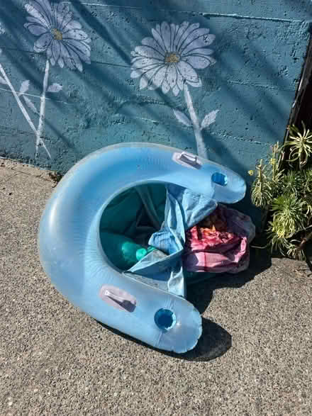 Photo of free floaters (710 n 96 street) #1