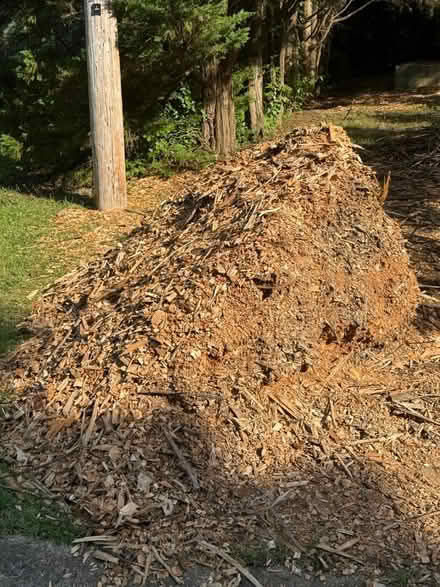 Photo of free mulch (3247 Valleyview powder Springs) #2