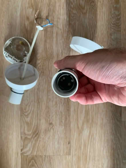Photo of free Pair of lighting roses (highcliffe BH23) #3