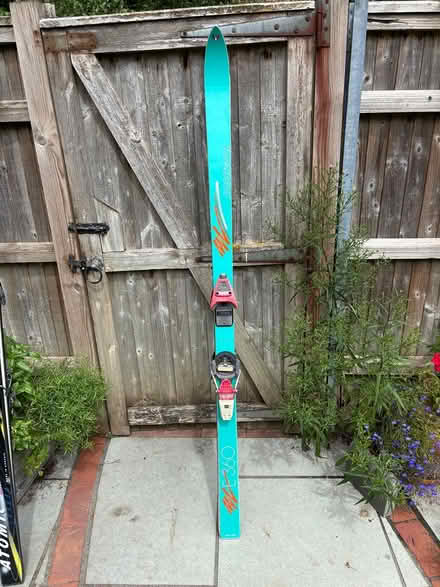 Photo of free Ladies Rossignol Skis, 170cm (Wallingford OX10 9DX) #1