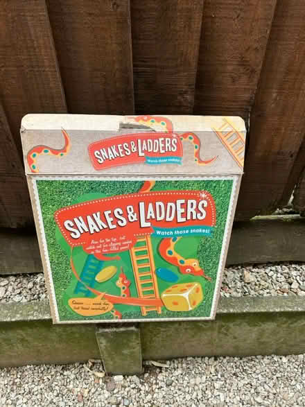 Photo of free Large Garden Snakes and Ladders (Nr Oswestry) #1