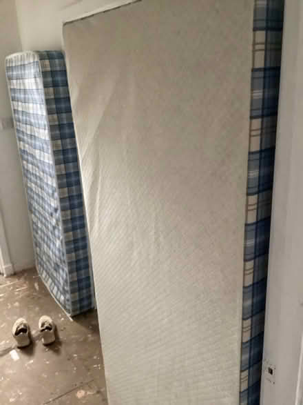 Photo of free Single bed and mattress (Mossend ML4) #1
