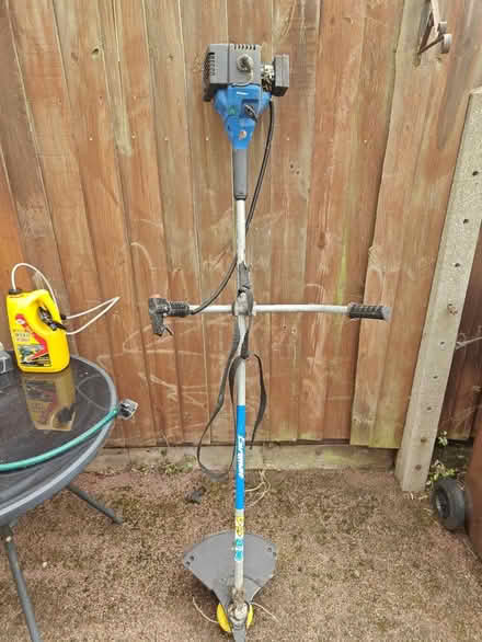 Photo of free Petrol strimmer (IP3) #1