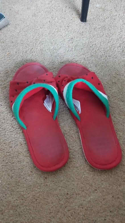 Photo of free Slippers (Donnington Bridge OX4) #1