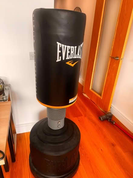 Photo of free Everlast boxing bag (Bushey) #3