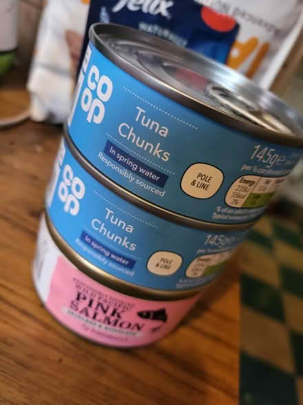 Photo of free Kitten Food and Treats (Norwich - Nr7) #3