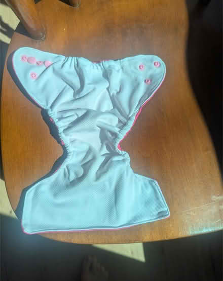 Photo of free Great-condition cloth diapers (Central Port Moody) #2