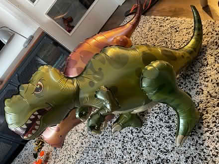 Photo of free Dinosaur Balloons (Ballyfermot) #2