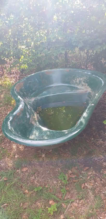 Photo of free Large pond (Petersfield, GU32) #1