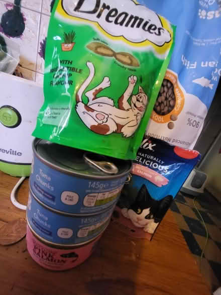 Photo of free Kitten Food and Treats (Norwich - Nr7) #2