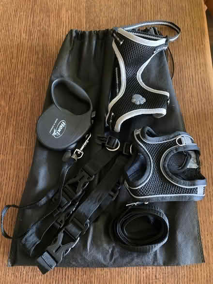 Photo of free Cat Harness with lead (Putnoe MK41) #1