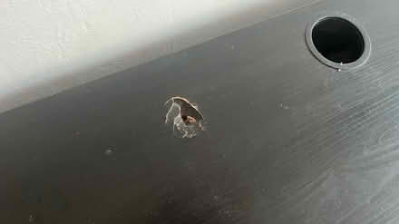 Photo of free Black desk (Leyton E10) #3