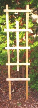 Photo of Garden trellis (Davisville) #4