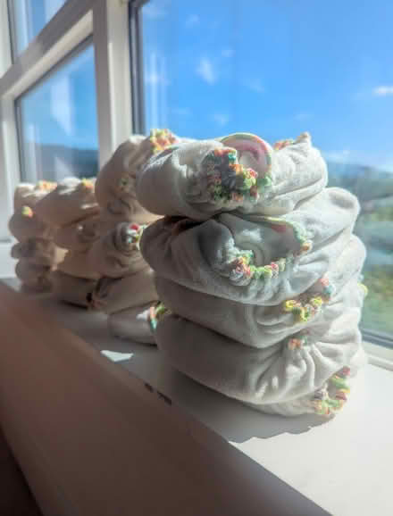 Photo of free Great-condition cloth diapers (Central Port Moody) #4