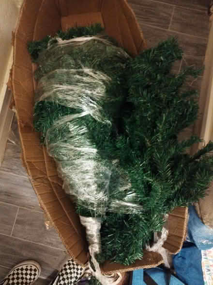 Photo of free 6ft Christmas Tree (DE23) #1
