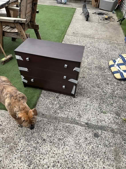 Photo of free Set of drawers (Home S71) #1