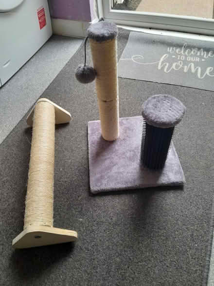 Photo of free Cat scratch posts (Sidcup DA14) #1