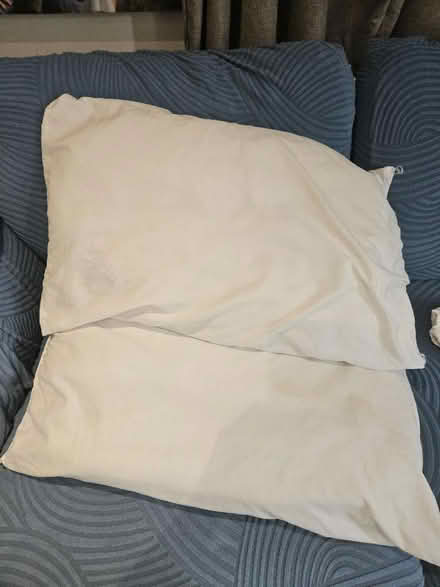 Photo of free Two pillows (Oxford-Freegle CGA OX4) #1