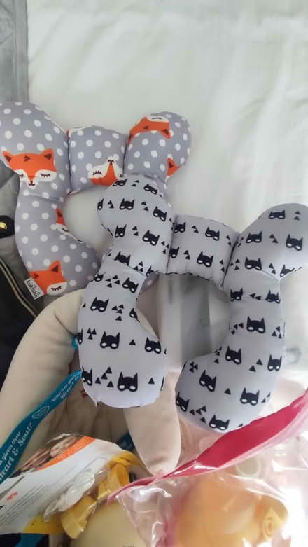 Photo of free Bag, milk breast pump and bits (Horsham RH13) #3