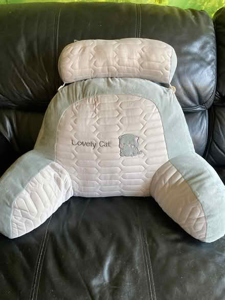 Photo of free Back Support Cushion (Putnoe MK41) #1