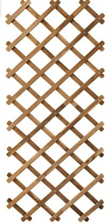 Photo of Garden trellis (Davisville) #3