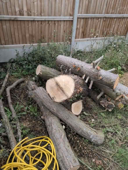 Photo of free Logs (Stevenage SG2) #1