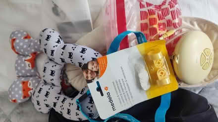 Photo of free Bag, milk breast pump and bits (Horsham RH13) #2